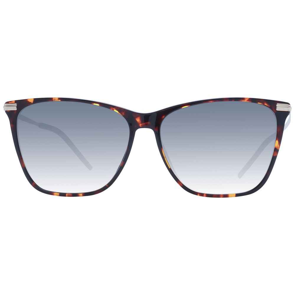 Brown Acetate Sunglasses